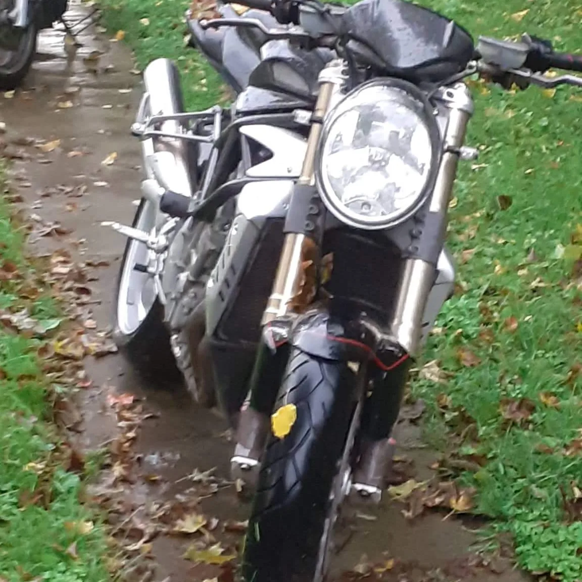 Kép 2